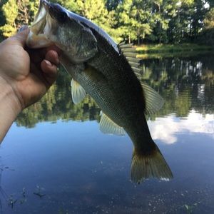 Meet your Posher, Josh